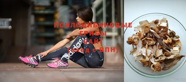 дмт Абинск