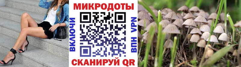 Псилоцибиновые грибы ЛСД  наркота  Подпорожье 